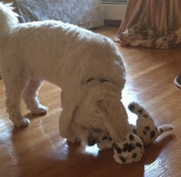 Small Stuffed SQUEAKY Dog & Puppy Toys / 10-30 lbs.