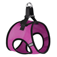 York Mesh Pet Harness