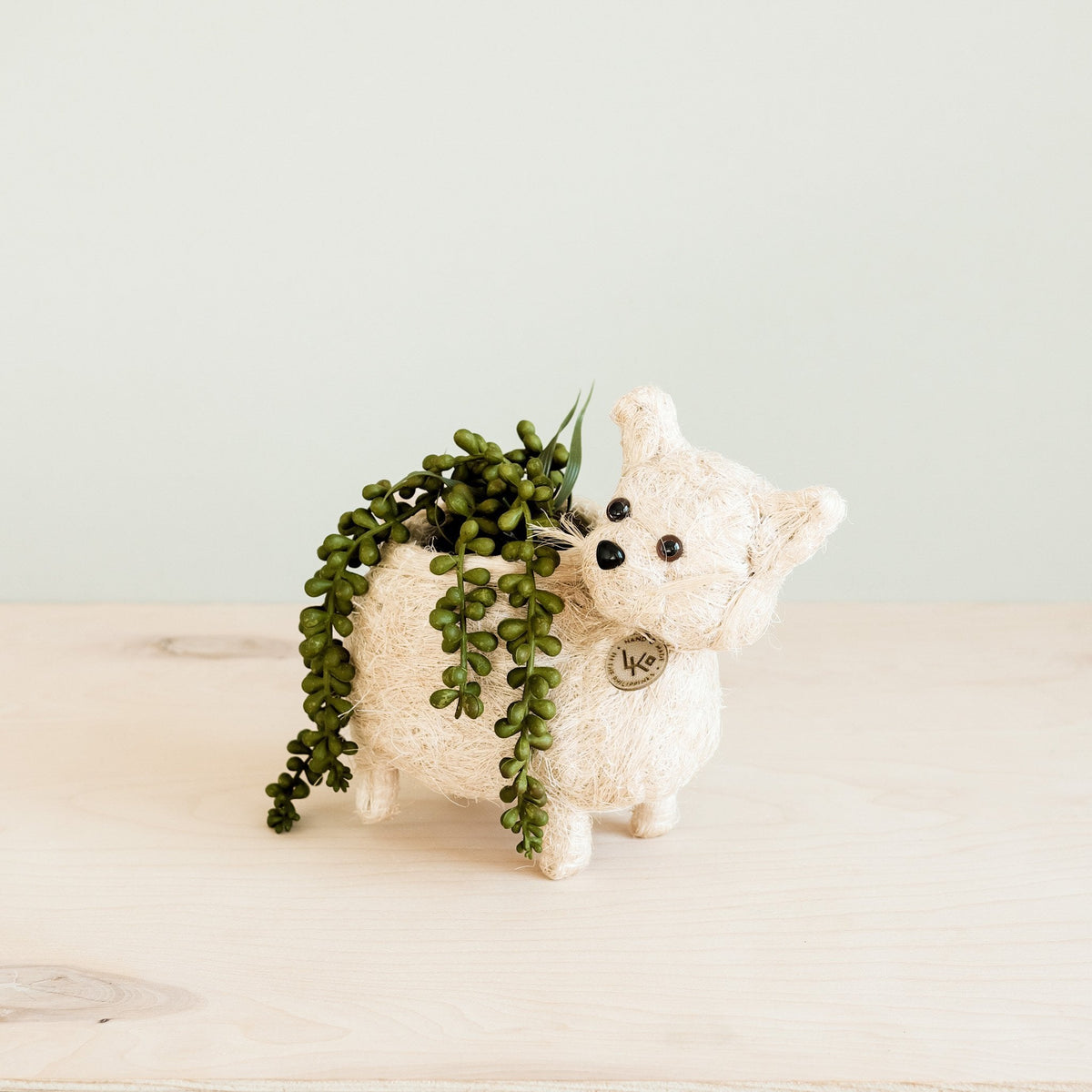 Baby Cat Planter - Handmade Pot | LIKHÂ