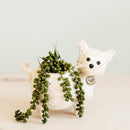 Baby Cat Planter - Handmade Pot | LIKHÂ