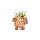 Baby Hedgehog Plant Pot - Handmade Planters | LIKHÂ