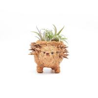Baby Hedgehog Plant Pot - Handmade Planters | LIKHÂ