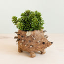 Baby Hedgehog Plant Pot - Handmade Planters | LIKHÂ