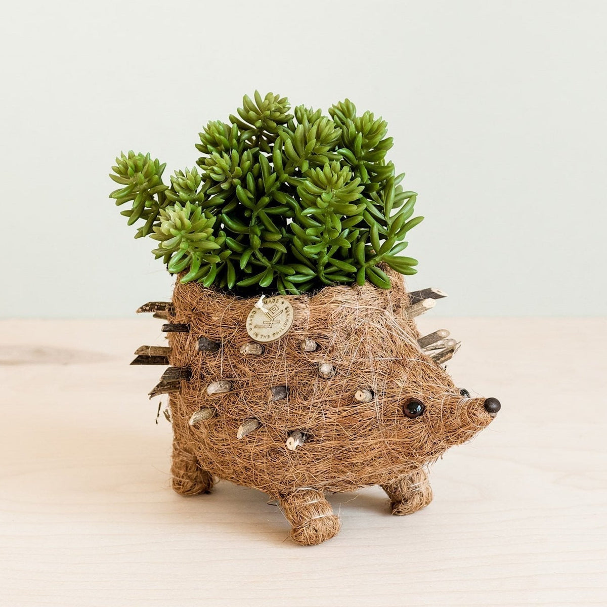 Baby Hedgehog Plant Pot - Handmade Planters | LIKHÂ
