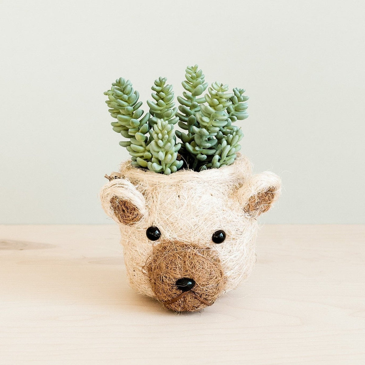 Bear Planter - Animal Head Planters | LIKHÂ
