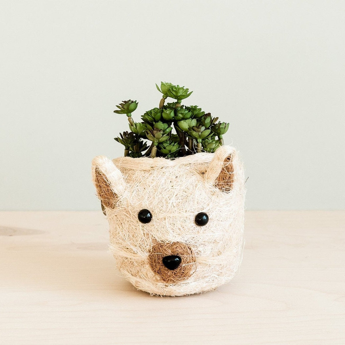 Cat Succulent Planter - Animal Head Planters | LIKHÂ