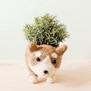 Corgi Succulent Pot - Handmade Planters | LIKHÂ