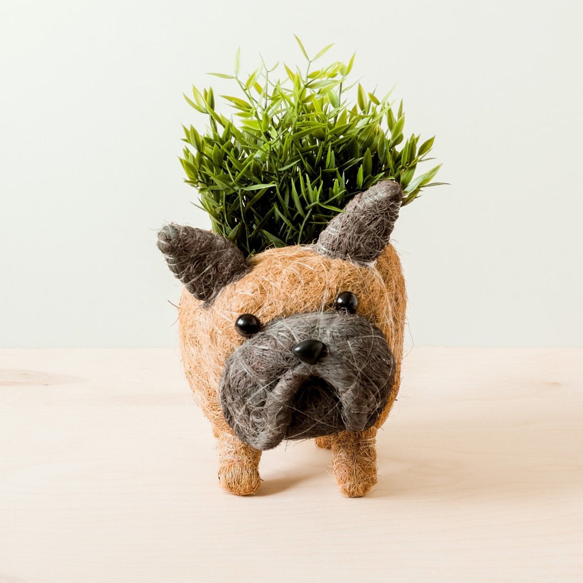 French Bulldog Planter - Coco Coir Pots | LIKHÂ