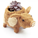 Pig Planter - Coco Coir Pots | LIKHÂ