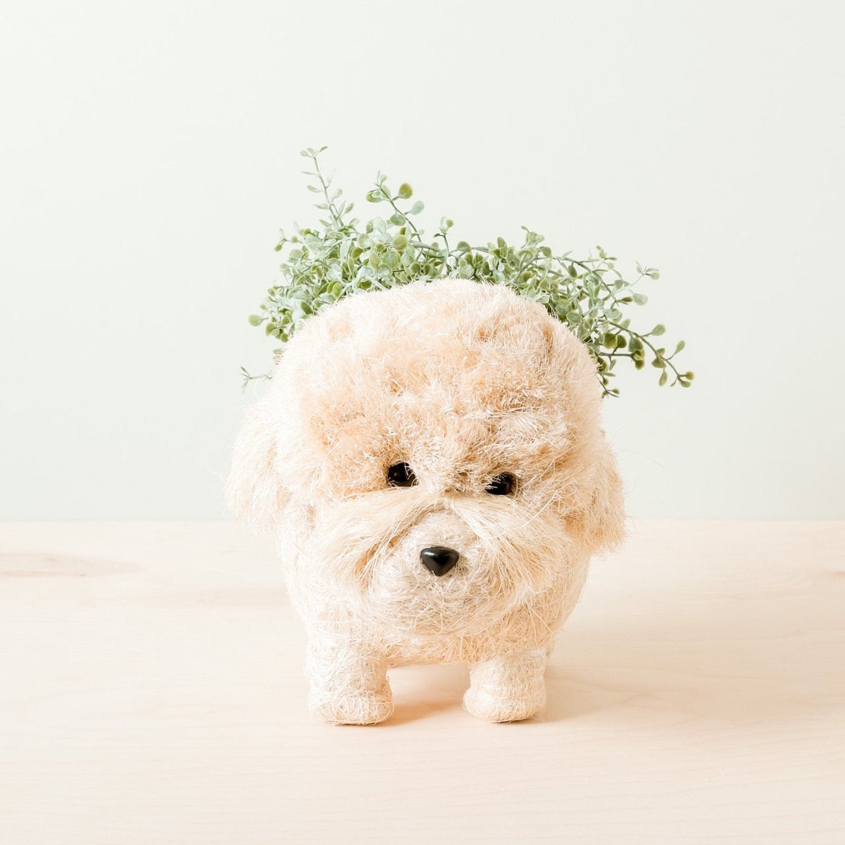 Poodle Planter - Coco Coir Pots | LIKHÂ