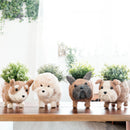 Poodle Planter - Coco Coir Pots | LIKHÂ
