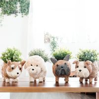 Poodle Planter - Coco Coir Pots | LIKHÂ