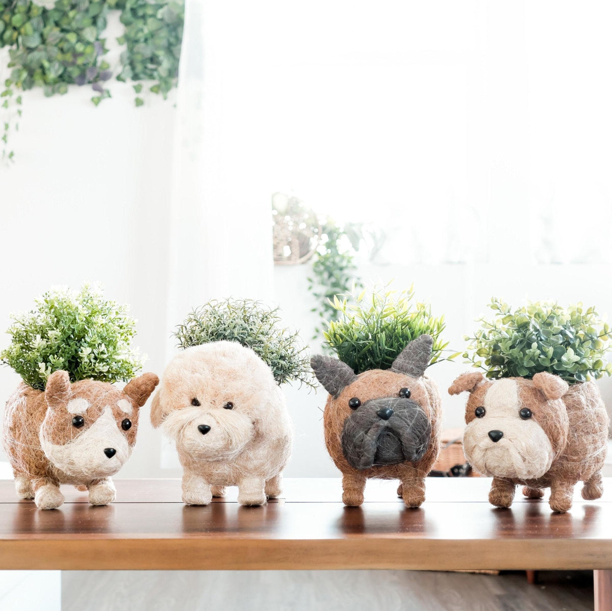Poodle Planter - Coco Coir Pots | LIKHÂ