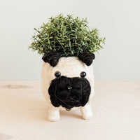Pug Planter - Coco Coir Pots | LIKHÂ