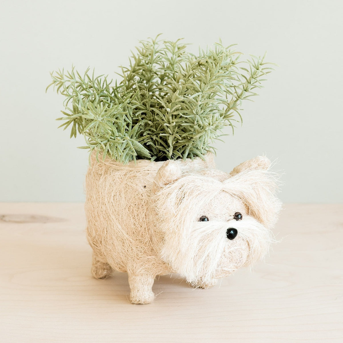 Westie Planter - Coco Coir Pots | LIKHÂ