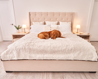PupProtector™ Summer Short Fur Waterproof Throw Blanket - Polar White