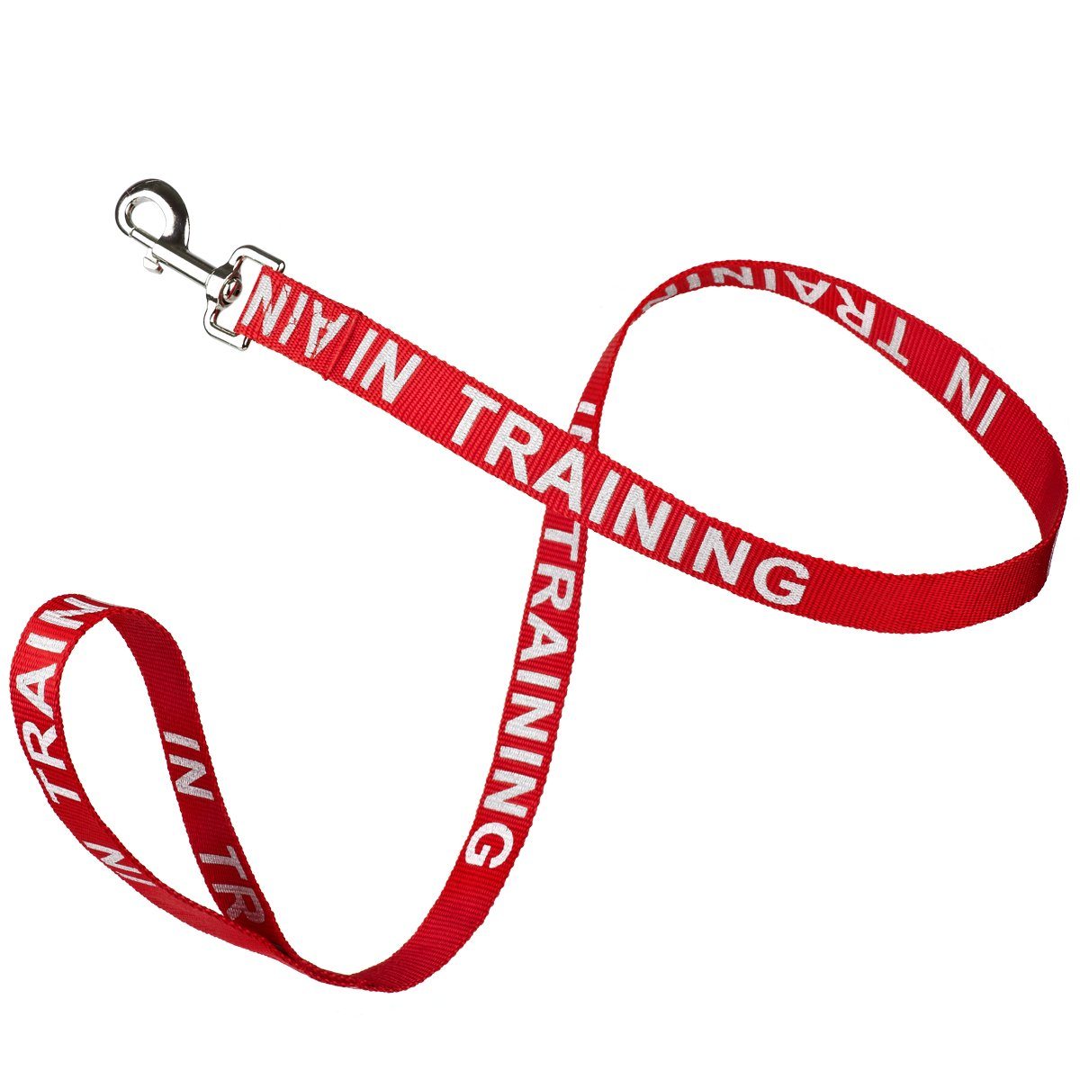 Reflective Nylon Dog Leash: ESA, Service Dog, Adopt Me, Do Not Pet, Therapy Dog