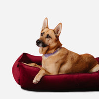 Vibrant Velvet Sleeper Dog Bed in Wine - Chester & Lee