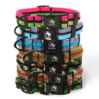 Adventure Dog Collar - Multicolor