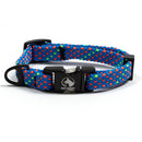 Narrow Adventure Collar