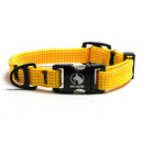 Narrow Adventure Collar