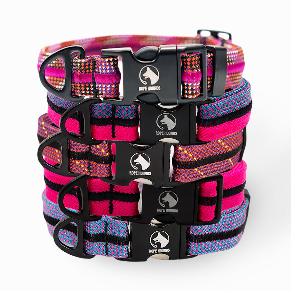 Adventure Dog Collar - Pinks/Purples