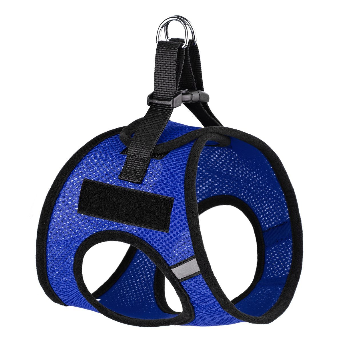 Royal Blue / 10"-11"
