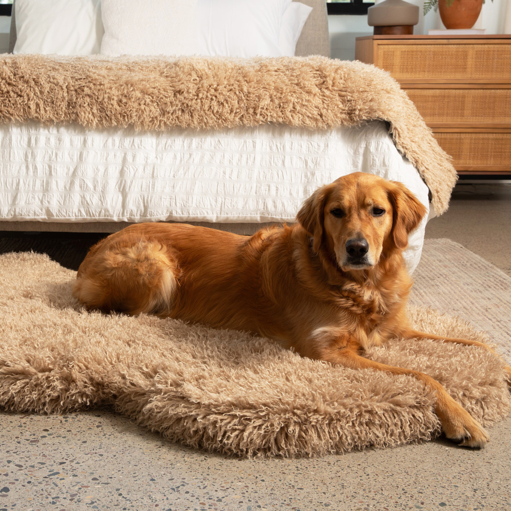 Tan Faux-Sheepskin Orthopedic Dog Bed & Luxurious Rug
