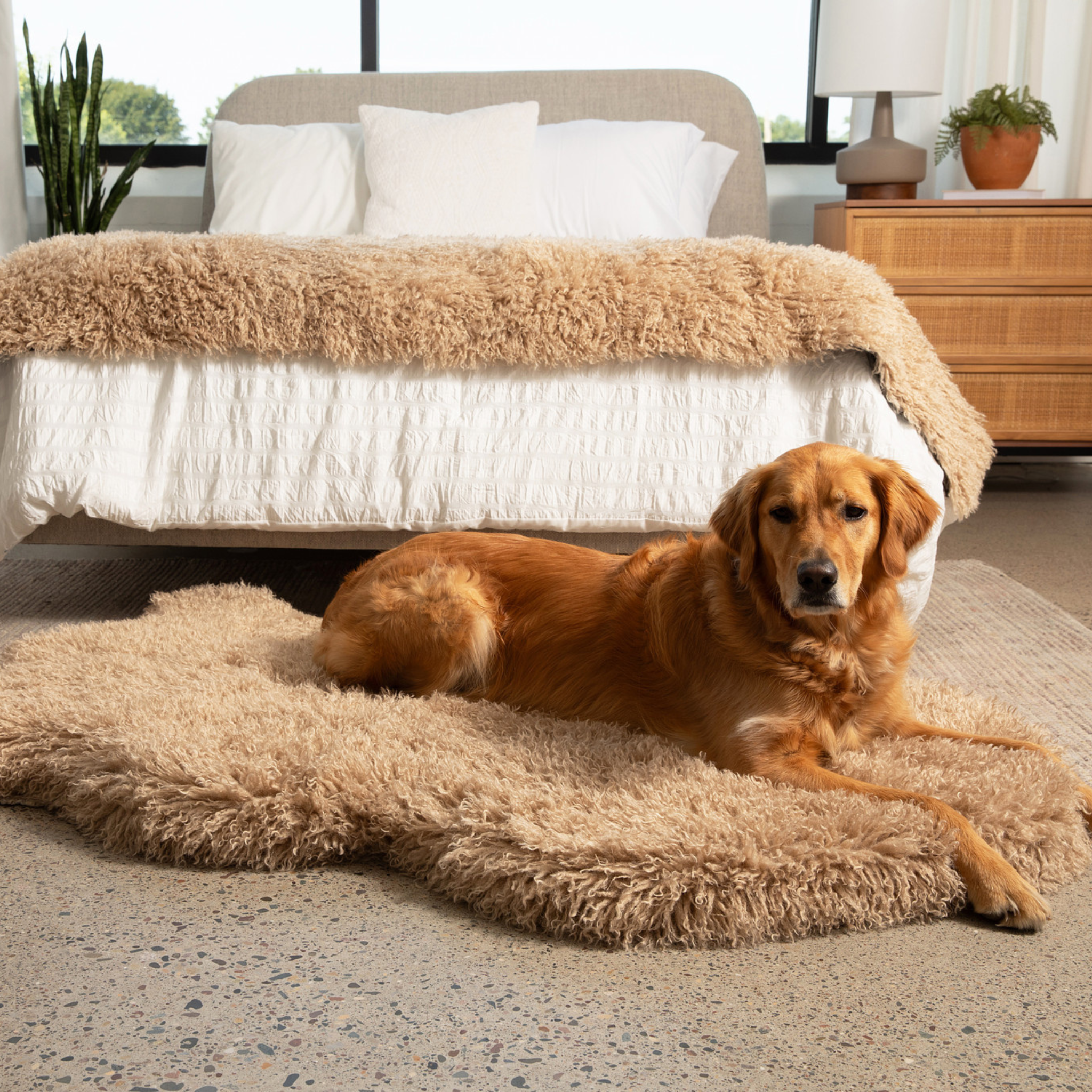 PupRug® Luxe Faux Fur Orthopedic Dog Bed: Plush Sheep Tan