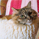HuggleSnuggler™ Pet Bed