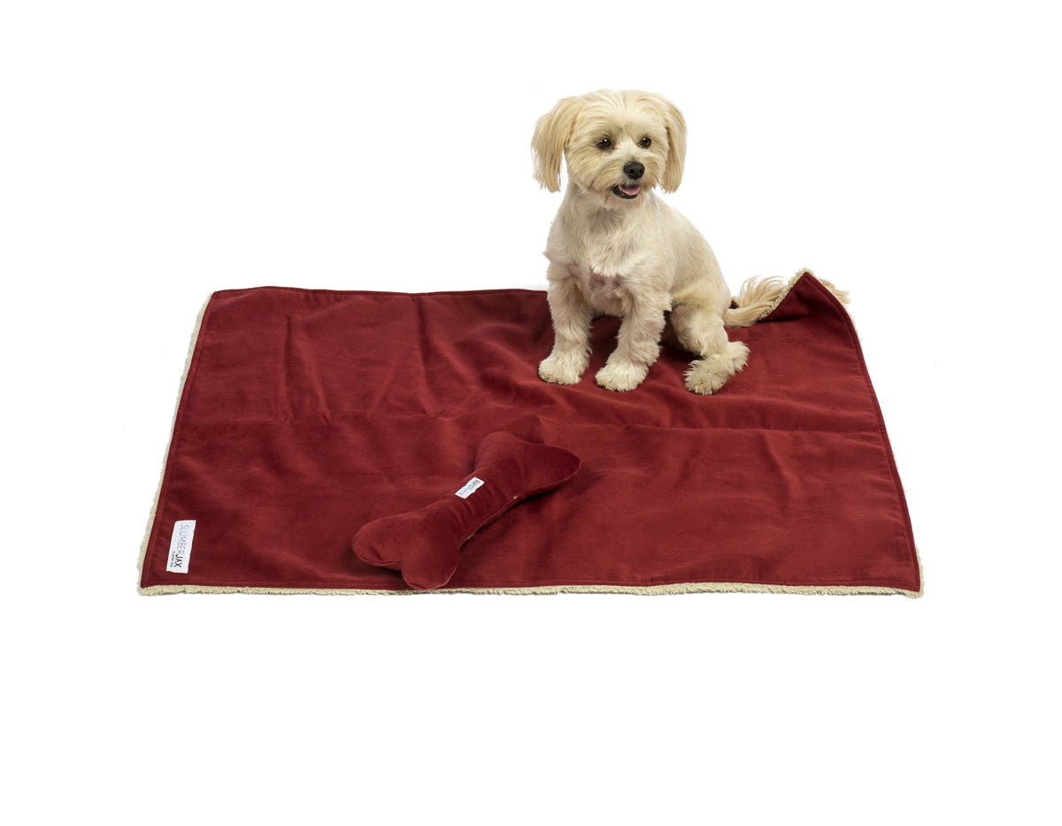 Sherpa & Cotton Dog Blanket and Squeakly Bone Toy Set: Tomato