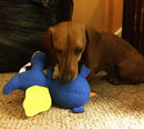 Small NO SQUEAK Plush Dog Toys - Dogs 10-30 lbs