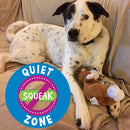 Small NO SQUEAK Plush Dog Toys - Dogs 10-30 lbs
