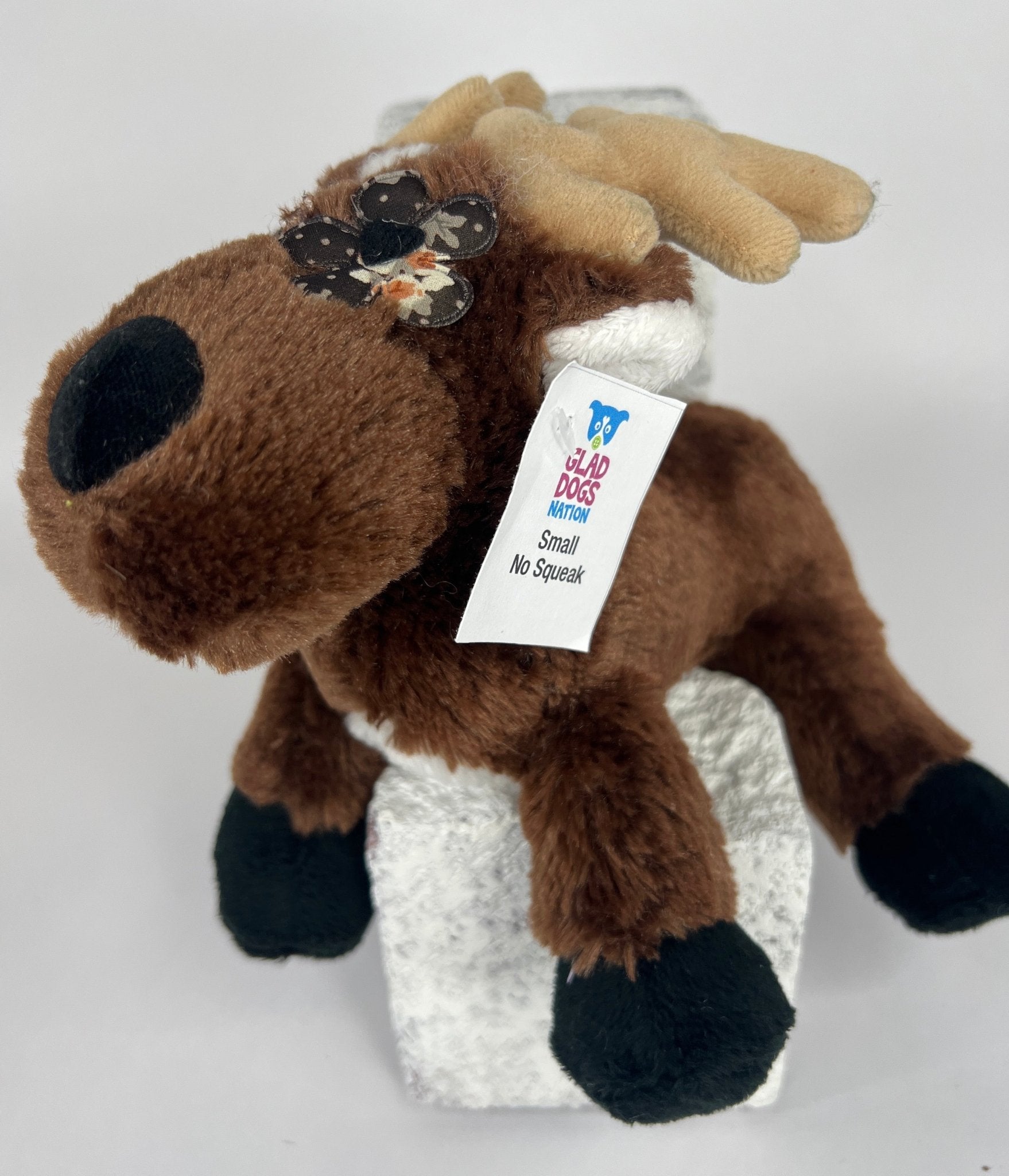 Small NO SQUEAK Plush Dog Toys - Dogs 10-30 lbs