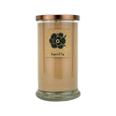 Sugared Fig 18oz Soy Candle