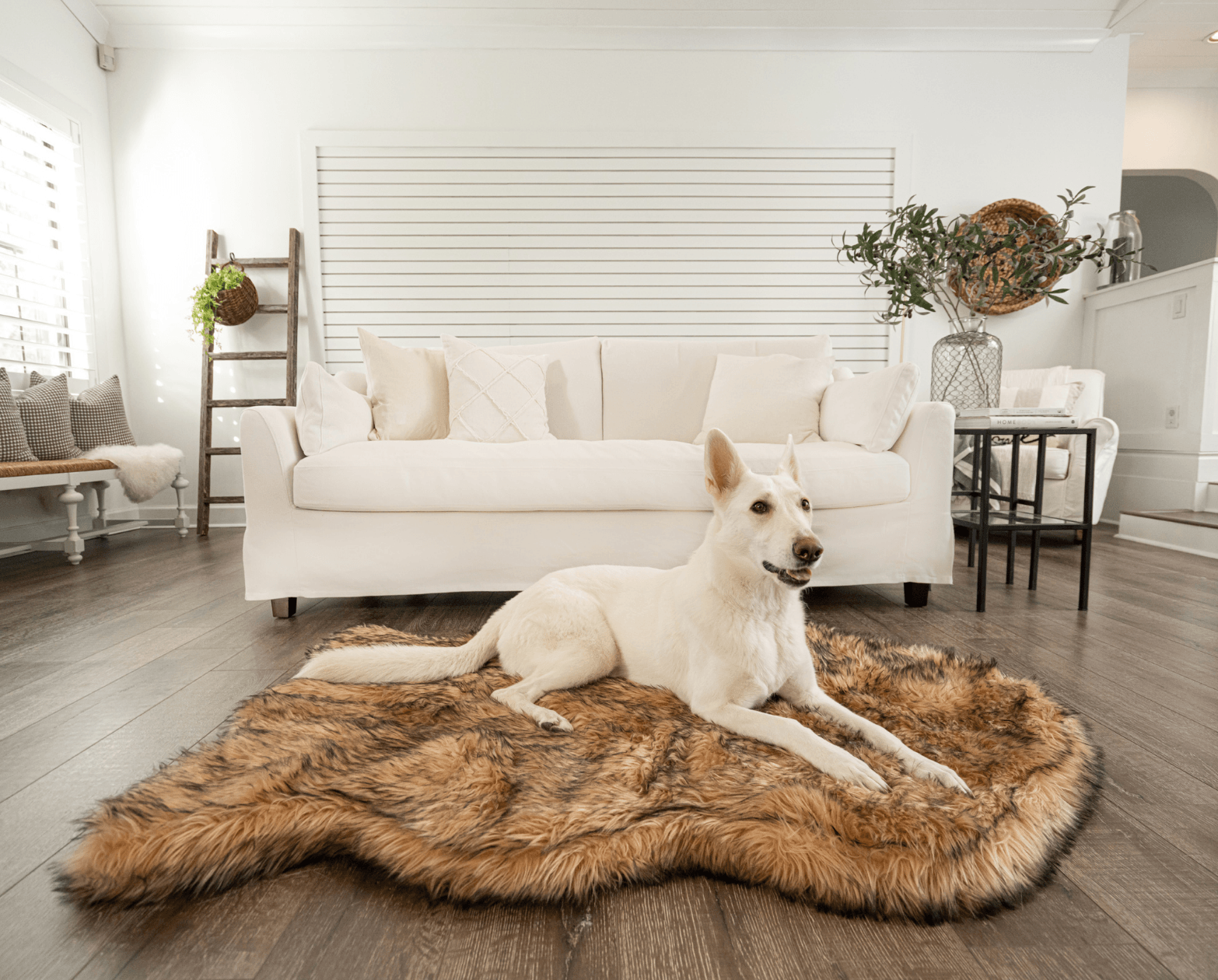 PupRug by Paw.com® Faux Fur Orthopedic Dog Bed: Curve Sable Tan