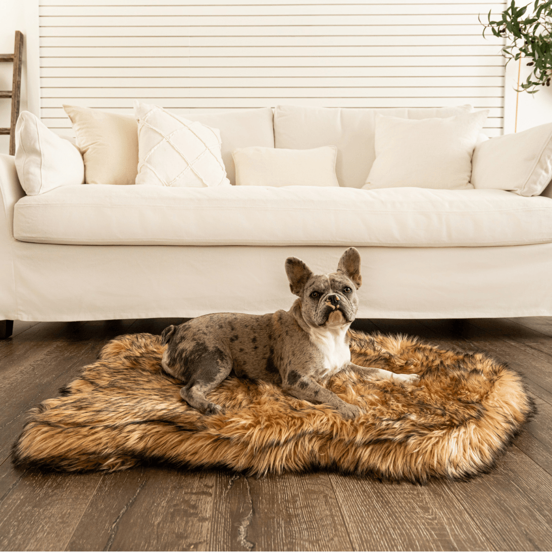 little spotted rug laying on a thick, memory foam rug that's also a dog bed.
