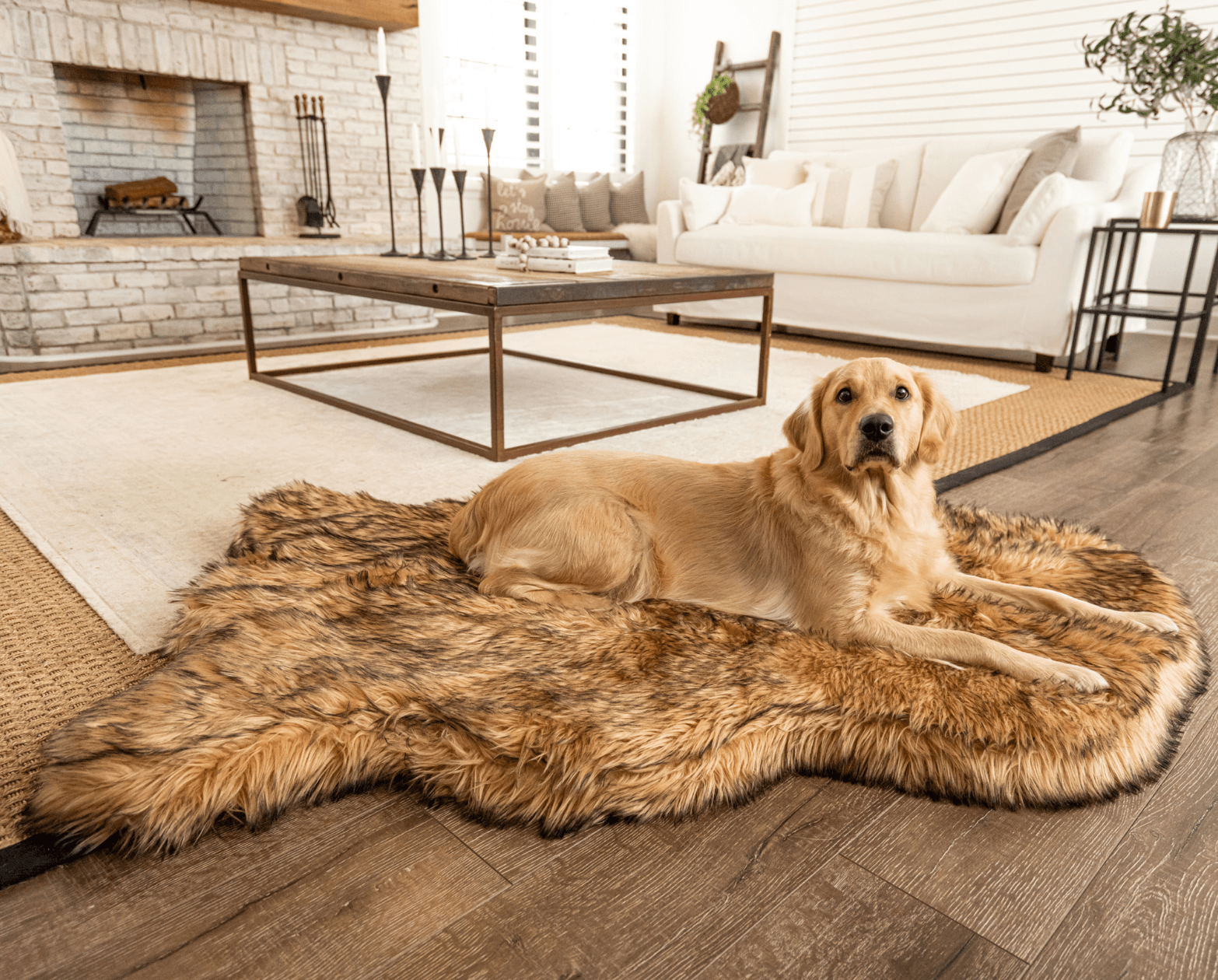 PupRug by Paw.com® Faux Fur Orthopedic Dog Bed: Curve Sable Tan