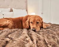 PupProtector™ Summer Short Fur Waterproof Throw Blanket - Sable Tan