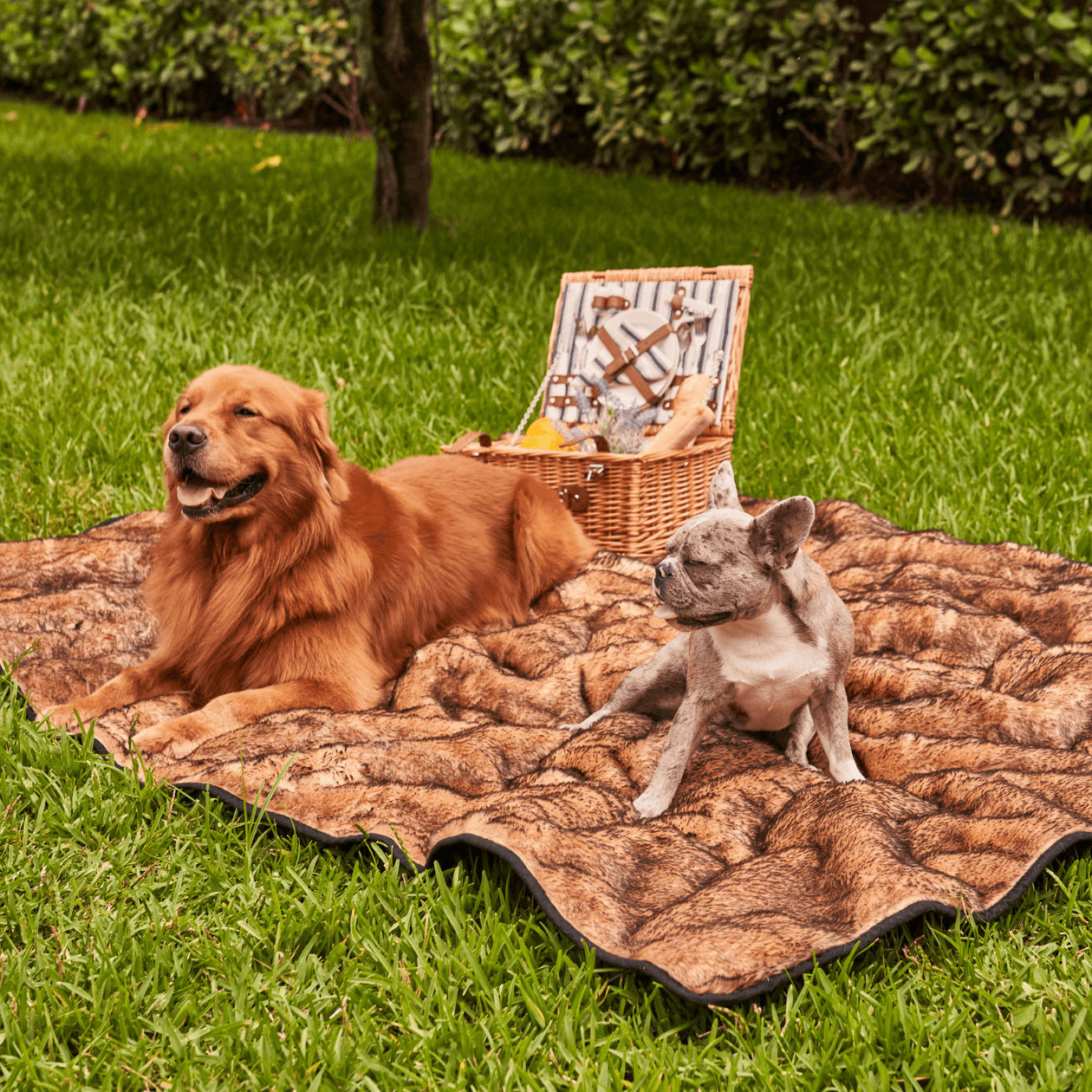 Sable Tan Faux-Fur Waterproof Blanket - Summer Short Fur
