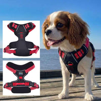Venture Paw Pull Control Dog Harness - Two Colors
