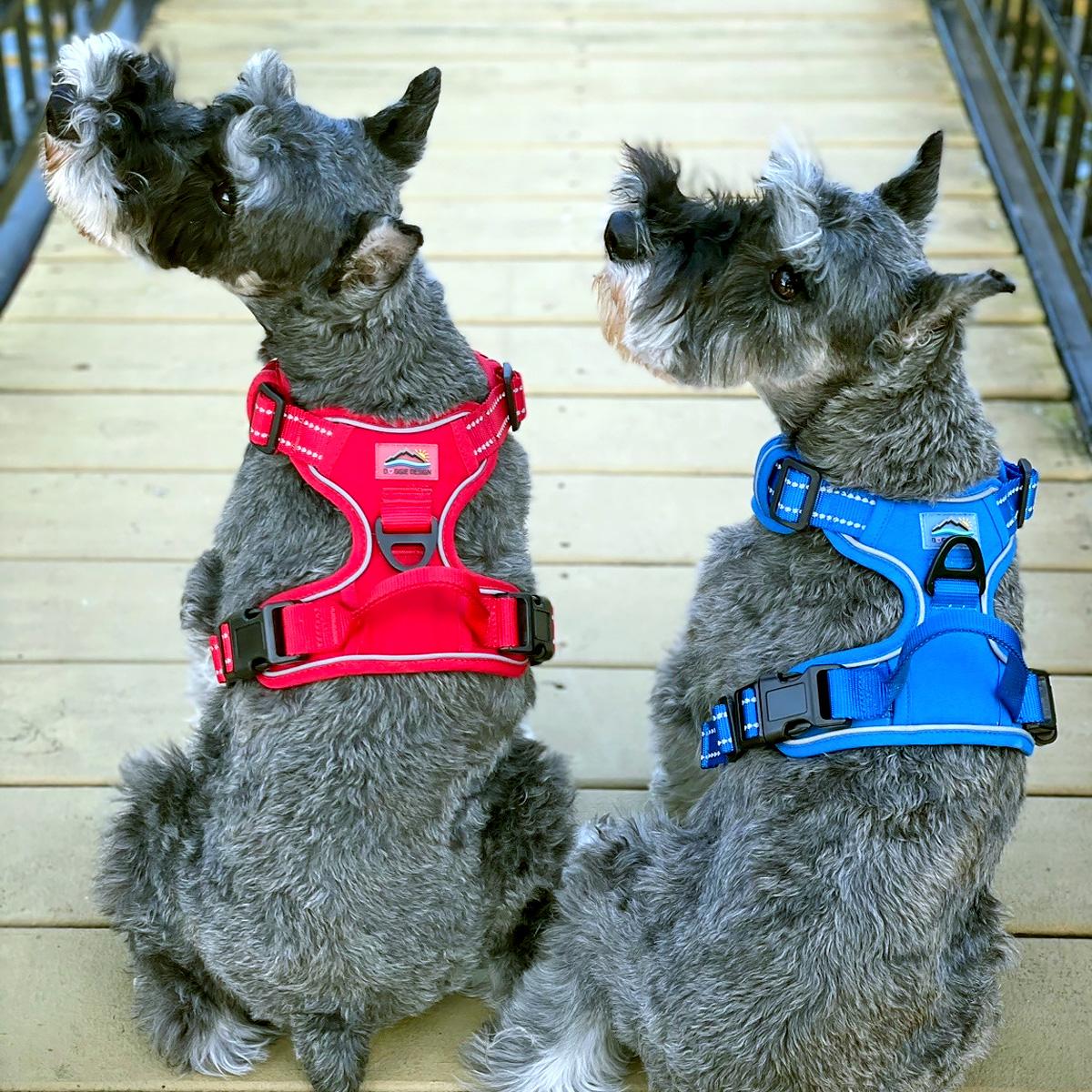 Venture Paw Pull Control Dog Harness - Solid Color