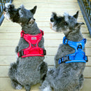 Venture Paw Pull Control Dog Harness - Solid Color