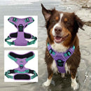 Venture Paw Pull Control Dog Harness - Two Colors