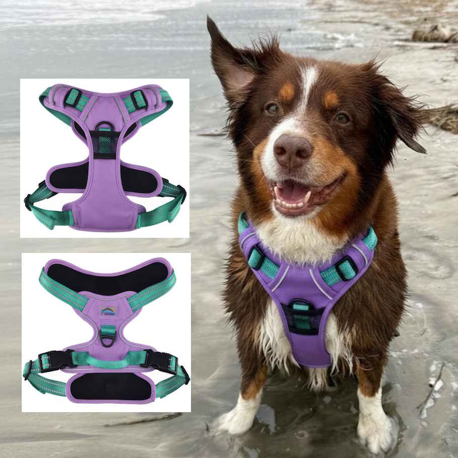 Venture Paw Pull Control Dog Harness - Two Colors
