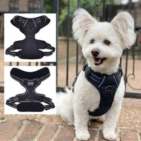 Venture Paw Pull Control Dog Harness - Solid Color