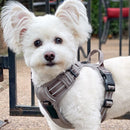 Venture Paw Pull Control Dog Harness - Solid Color