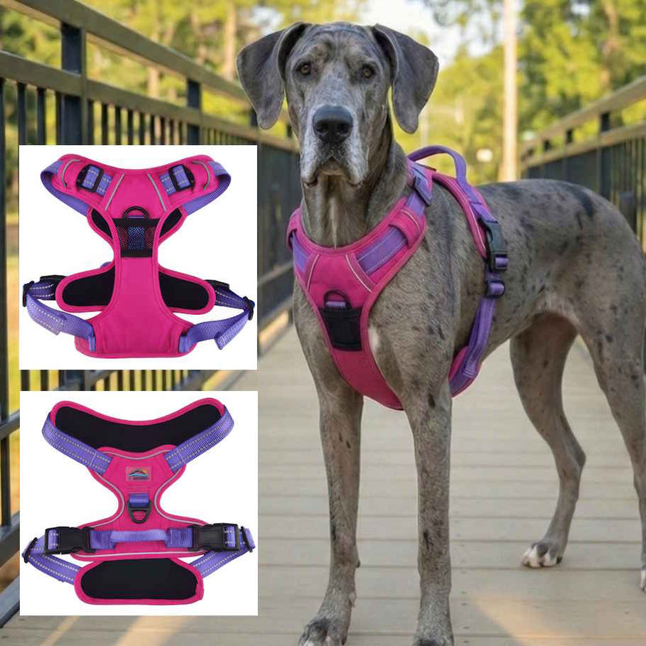 Lilac & Seafoam Green Pull-Control Harness: 10.5-41" chest