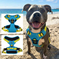Venture Paw Pull Control Dog Harness - Two Colors