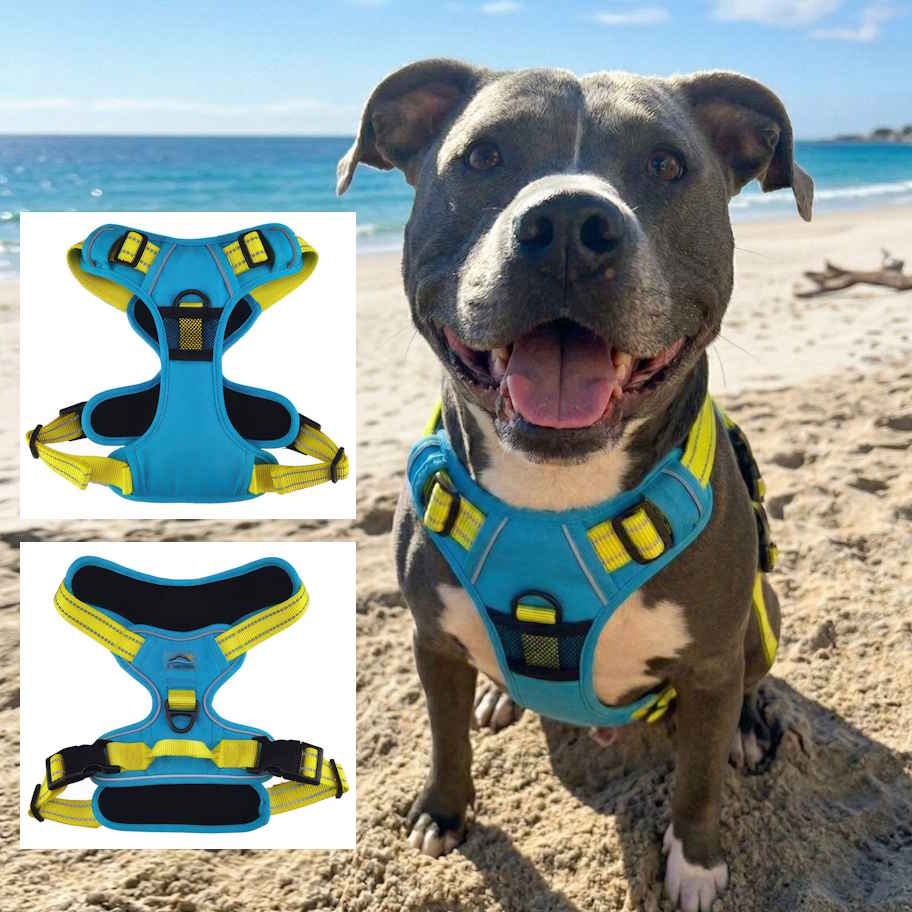 Venture Paw Pull Control Dog Harness - Two Colors
